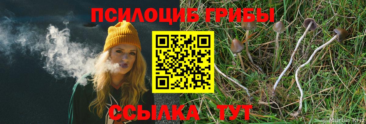 Галлюциногенные грибы Magic Shrooms Губаха
