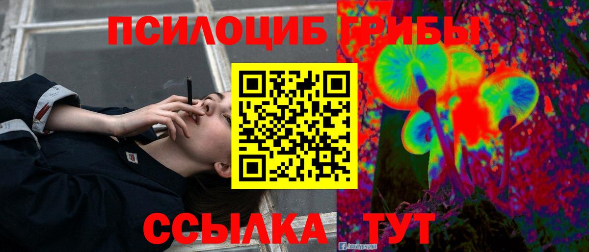 Галлюциногенные грибы Psilocybe  Вход с VPN  Галлюциногенные грибы Magic Shrooms  Губаха 